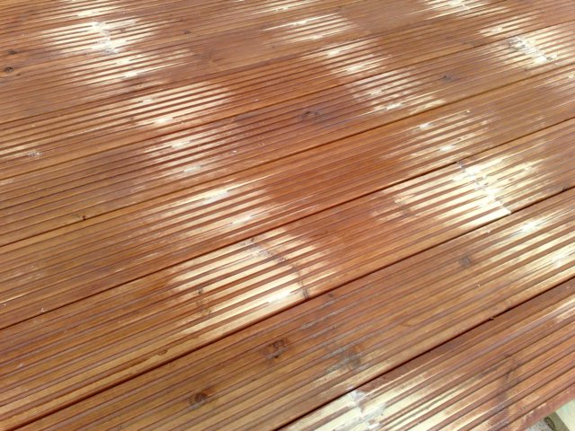 photo6.jpg
