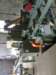 yard6_small.jpg