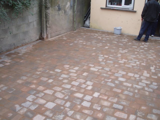 p1010016.jpg