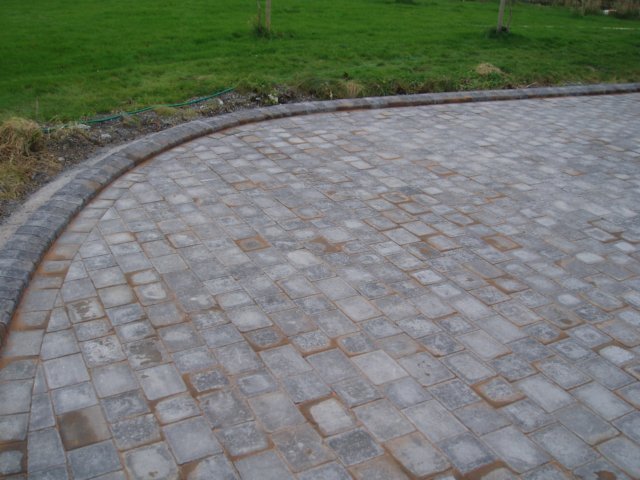 p1010026.jpg