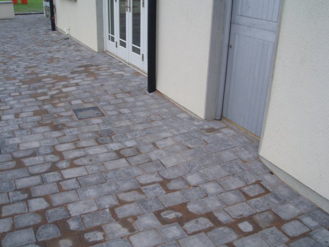 p1010034.jpg