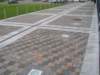 p1010050_small.jpg