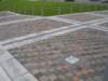 p1010052_small.jpg