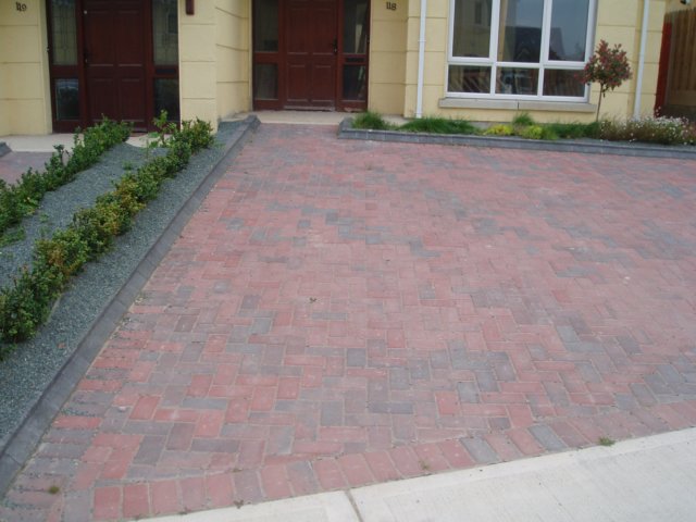 photo47.jpg