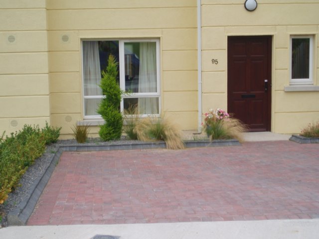 photo49.jpg