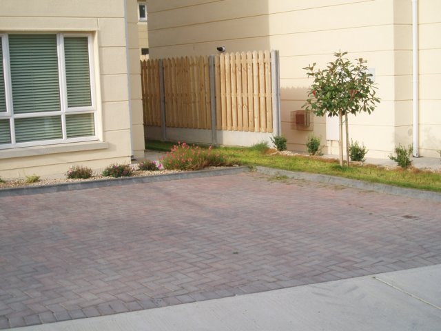 photo6.jpg