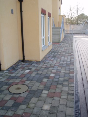 p1010005.jpg