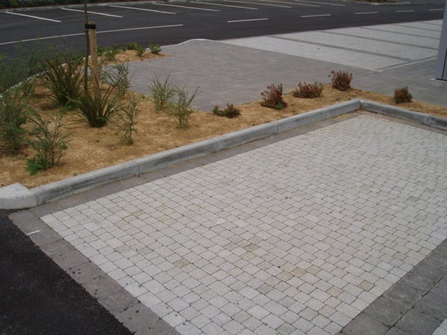 p1010042.jpg
