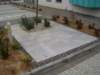 p1010043_small.jpg